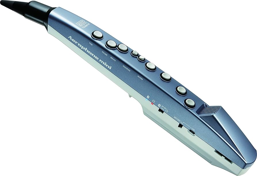 Roland Aerophone mini 青 Amazon.com: Roland AE-01 Aerophone Mini Digital Wind